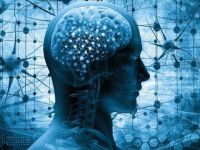 Araştırmacılar beyinde anksiyete hücresi keşfetti!