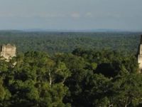 Guatemala'da ormanın altında Maya kenti bulundu