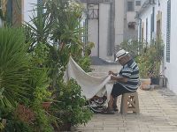 Tarihten köklü bir esinti