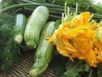 Doğada yetişen ürünlere yoğun ilgi