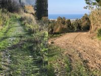 Tarihi yol mahvedildi