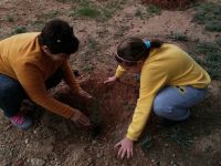 KKTC Alevi Kültür Merkezi Gazimağusa Şubesi ağaç dikti