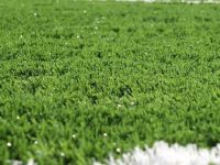 Gönyeli sentetiği bırakıyor