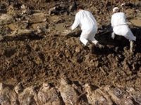 Kıbrıslı Türklere ait yeni bir toplu mezar aranıyor