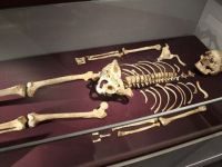 Her 10 İngilizden birinin atası: Cheddar Man