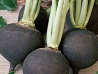 Bu karışımdan günde sadece 2 yemek kaşığı alın!