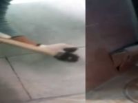 Duvarın içinden cephanelik çıktı