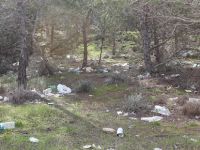 Çöpler doğanın güzelliğini gölgeledi