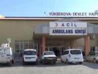 Hakkari'de polis aracı kaza yaptı