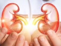 Güney, böbrek bağışında iyi durumda