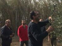 Tarım Dairesi eğitim çalışmalarına bu hafta sütlüce köyü ile devam edecek