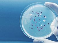 Umut veren araştırma: Yeni bir antibiyotik familyası keşfedildi