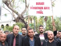 Takside can güvenliği yok