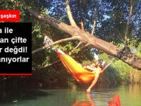 Gıpta ile Bakılan Çift Kadir Doğulu ile Neslihan Atagül Boşanıyor mu?