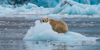 Bilim insanları uyardı: Küresel deniz seviyesindeki artış hızlanıyor
