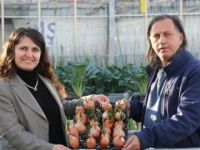 Yeni nesil hibrit soğan üretildi