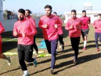 Ozanköy, Doğan’a bileniyor