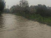 Köylerde bereket şehirlerde felaket