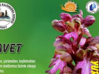 Orkide Gözlem Yürüyüşü 4 Mart’ta
