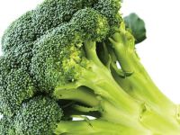 Günde 25 gram lif alın