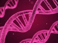 İnsan yüzünü şekillendiren 15 gen tespit edildi