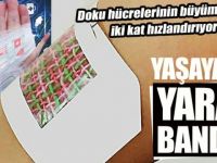 Yaşayan yara bandı
