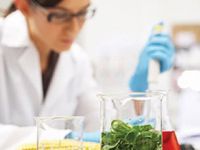 26 İthal ürünün tümü temiz…30 yerli ürünün 3’ünde limit üstü kalıntı