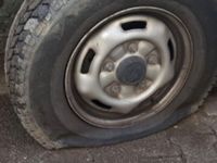 Birbirine kin kustular