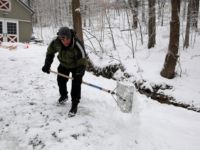 Kar ve don Avrupa'yı olumsuz etkiledi