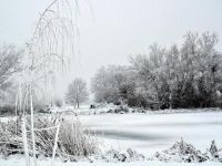 Polonya ve Çekya'da soğuk hava can alıyor