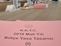 Bütçe görüşmeleri 2’nci gününde...