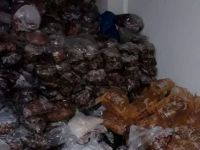 Erzurum'da kaçak kesim operasyonu