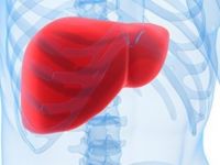 Karaciğere iyi gelen yiyecekler!