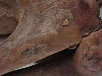 En eski dövmeler Londra'daki mumyalardan çıktı