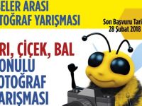 “Arı, Çiçek, Bal” konulu liseler arası fotoğraf yarışmasına başvurular 16 Mart’a kadar uzatıldı