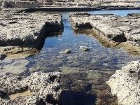 7 Krallığa ait bir bölge