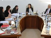 Dilekçe ve ombudsman komitesi toplandı