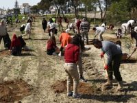 Lefkoşa’ya bin fidandan ilk 350’si dikildi