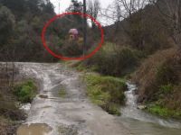 Ormanlık alana kurulan oyun parkı tedirgin ediyor