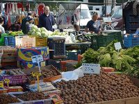 Salatalık altın oldu