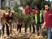 Girne Liman Rotaract Kulübü, Girne Belediyesi işbirliği ile Ozanköy’de ağaç dikti