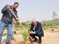 Serhatköy’e 300 fidan ekildi