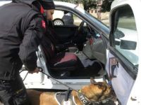 İstanbul'da "Kurt Kapanı 15" denetimi