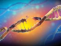 Lassa Humması nedir? Aşısı var mı? Lassa Ateşi Nedir?