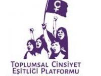 TCEP: “Toplumsal Cinsiyet Eşitliği Dairesi kısa zamanda faaliyete geçirilmeli”