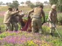 Terör örgütünün döşediği mayına basan bir kişi hayatını kaybetti