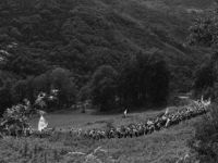 Savaşlar ve göçlerin “Araf”ta bıraktığı insanların hikâyesi