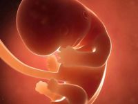 Bebeği daha doğmadan kucağa almanın yolu bulundu