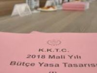 Meclis Genel Kurulu’nda bütçe görüşmeleri pazartesi başlıyor