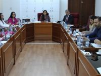 Cumhuriyet Meclisi, İdari, Kamu ve Sağlık İşleri Komitesi toplandı